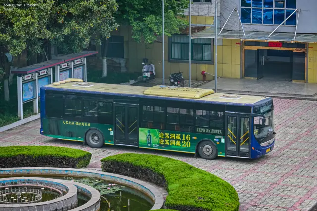 800BUS