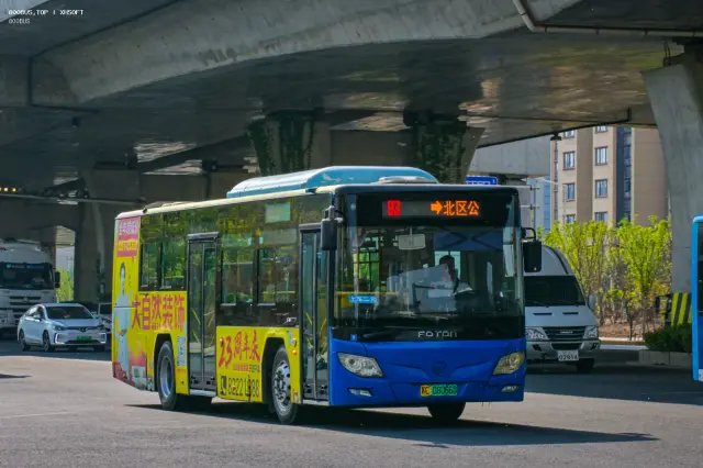 800BUS