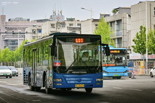 800BUS