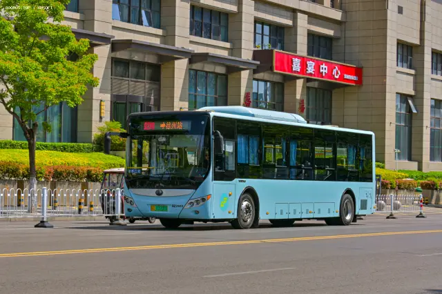 800BUS