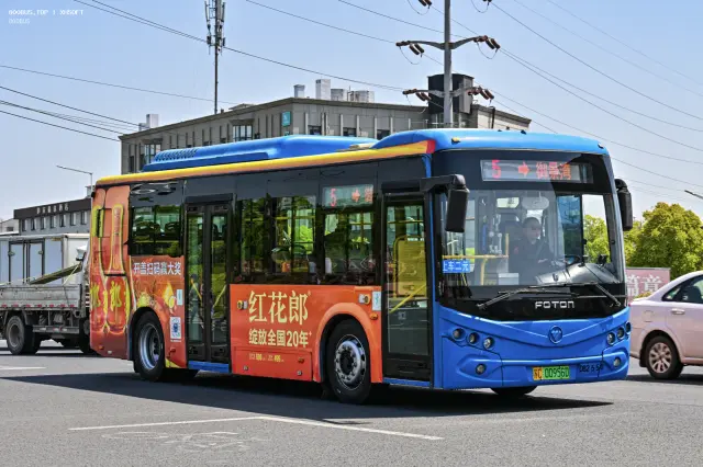 800BUS