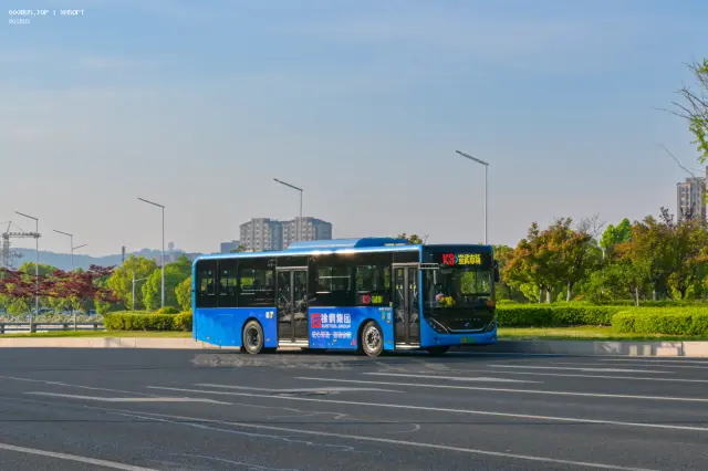 800BUS