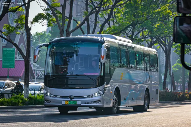800BUS