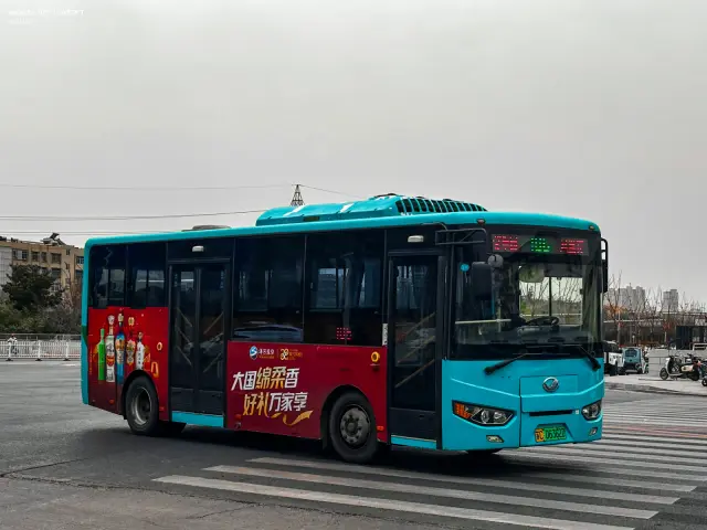 800BUS