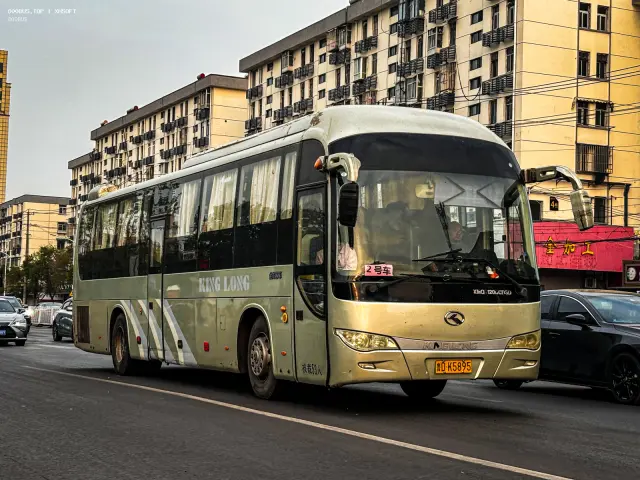 800BUS