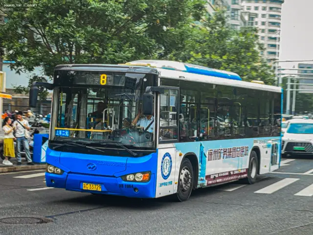 800BUS