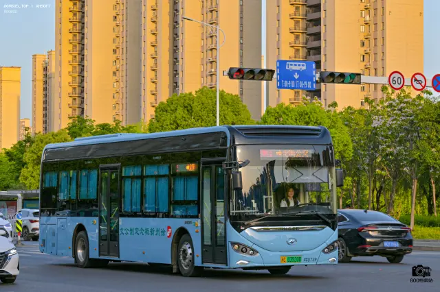 800BUS