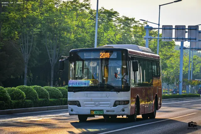 800BUS