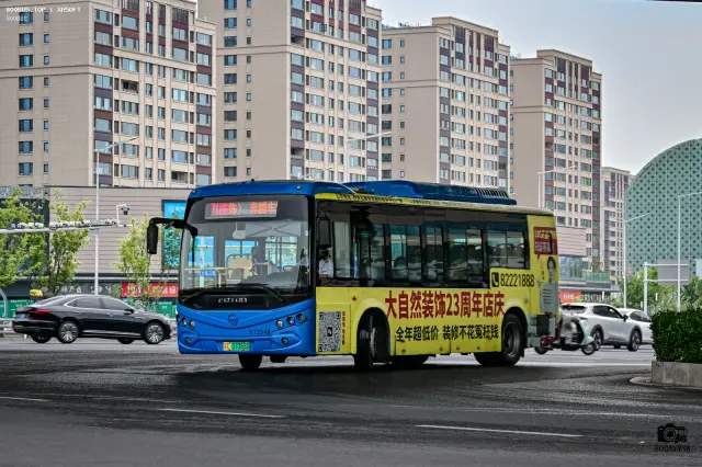 800BUS