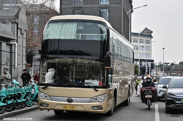 苏N 10381
