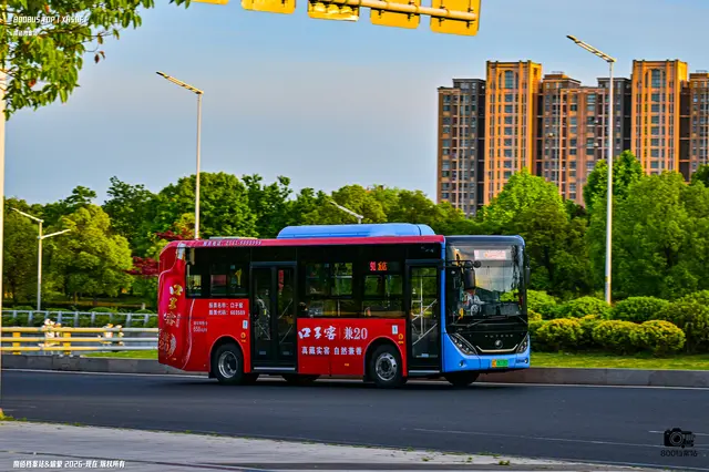 苏C  06336D