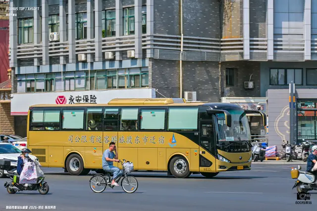 苏N 00800
