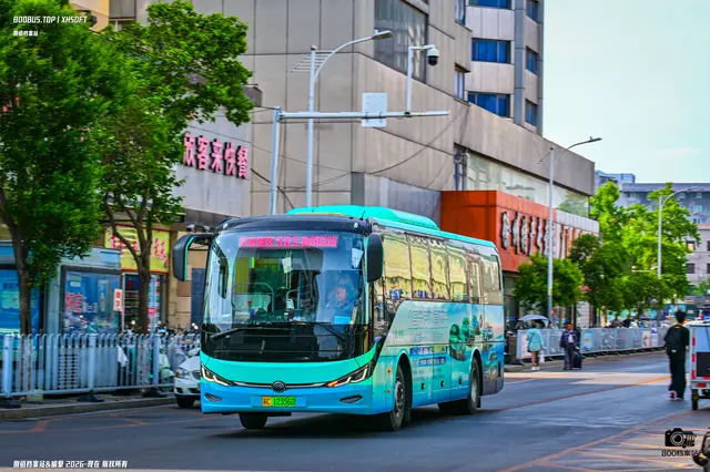 苏C 12356D
