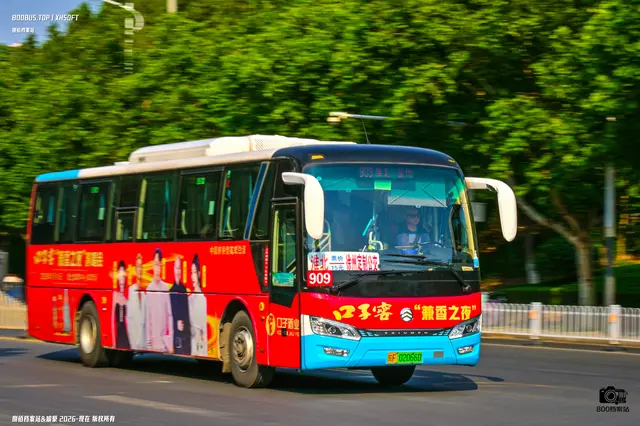 皖F 02066D