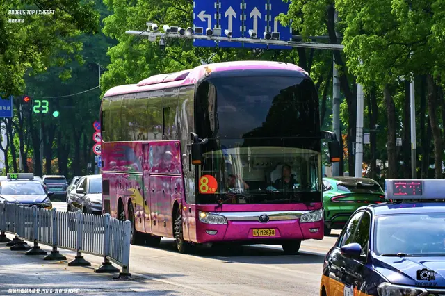 晥K M2838