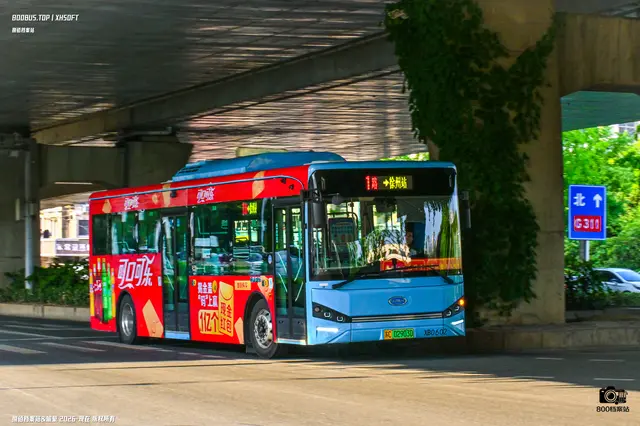 苏C 02903D