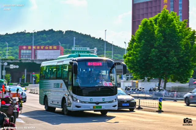 皖L 06256D