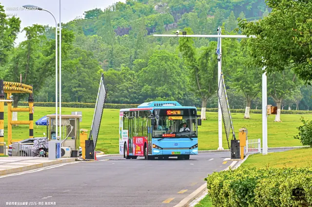 苏C 01781D
