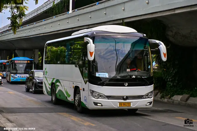 黑A BG233