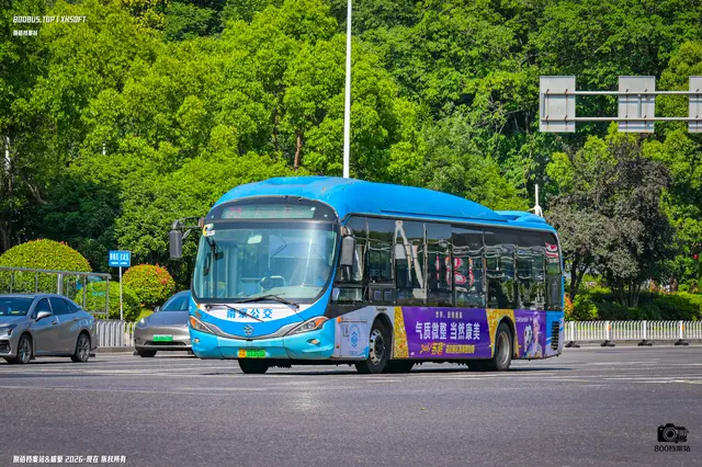 苏A 01365D
