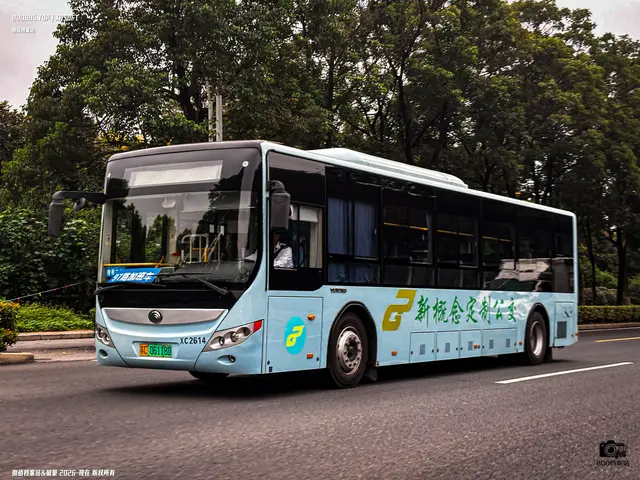 苏C 06118D