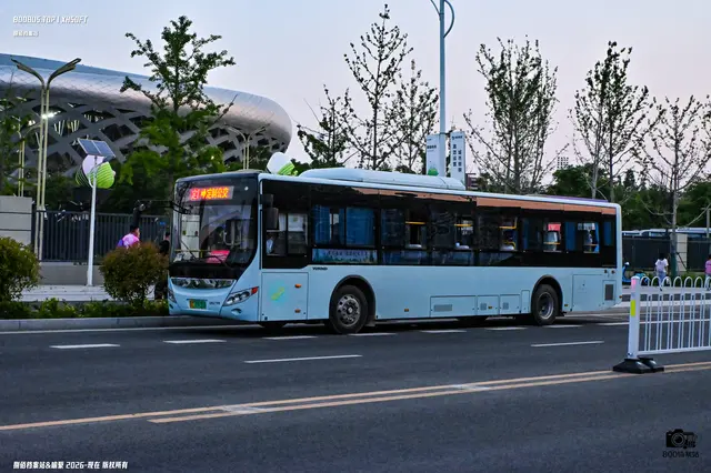 苏C 09036D