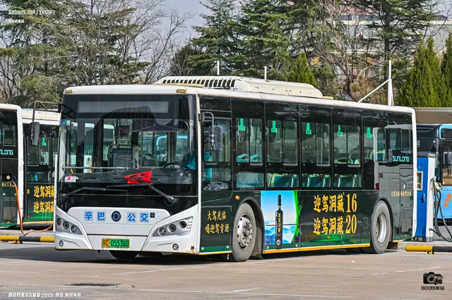 800BUS