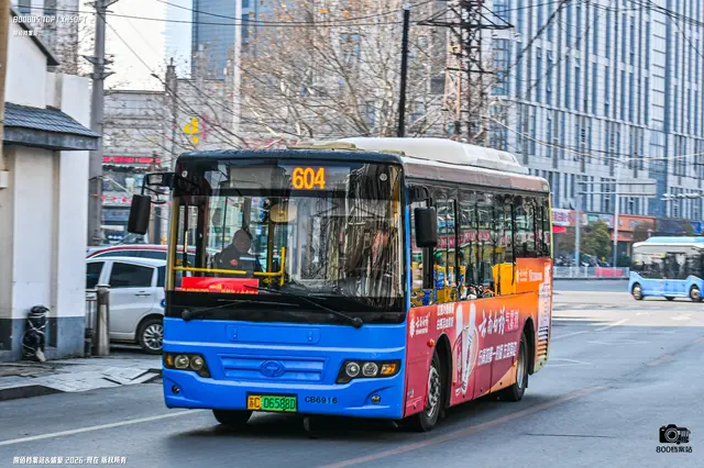 800BUS