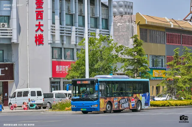 800BUS