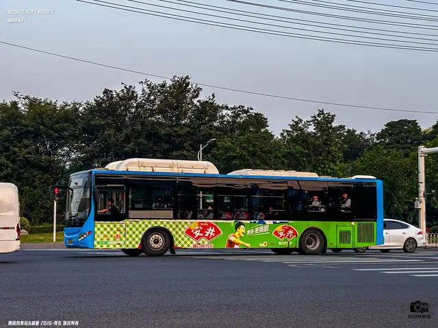 800BUS