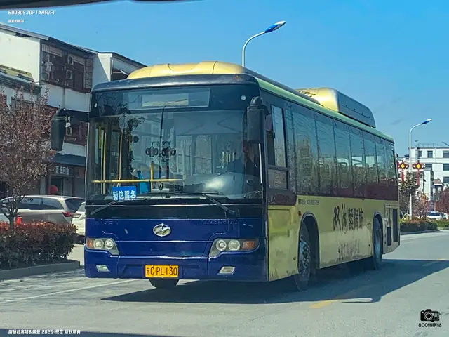 800BUS