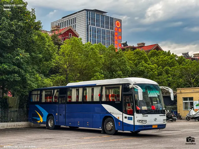 苏C 55229