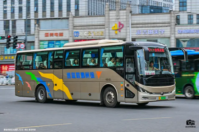 苏C 08596D