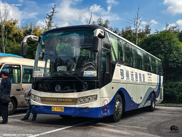 苏C T9788
