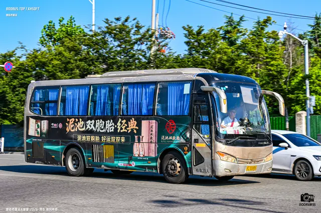 苏C 33085