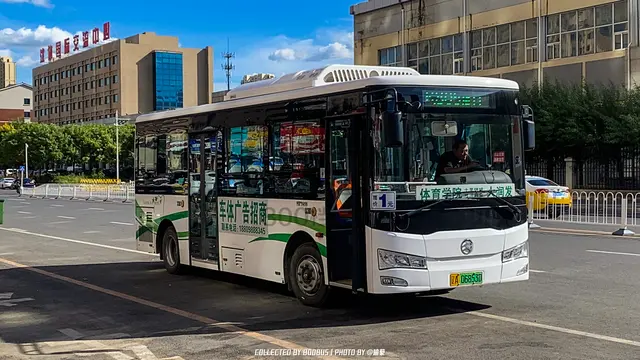 辽A 06853D