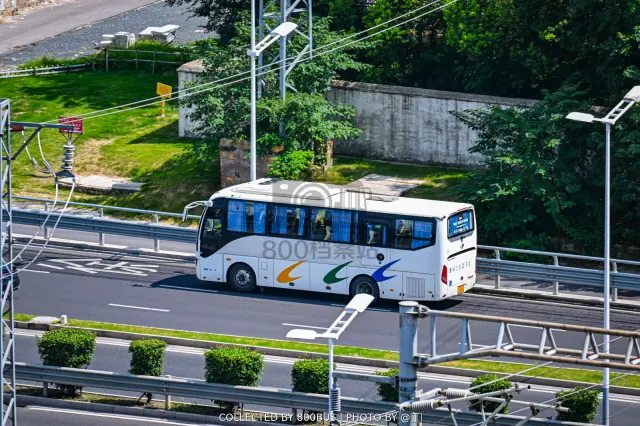 鲁H 36Q50