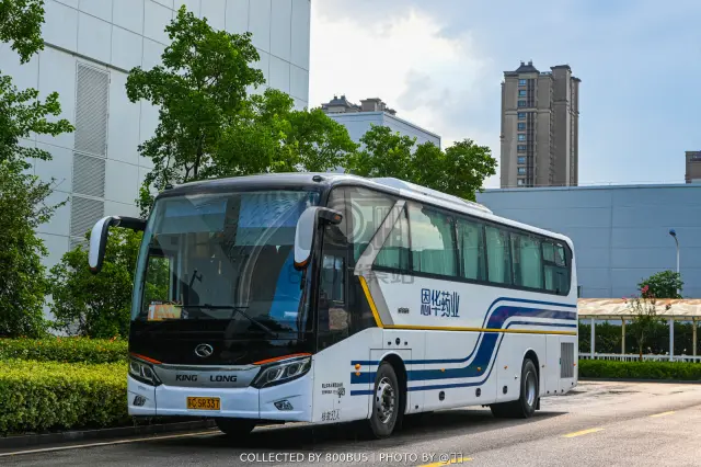 800BUS