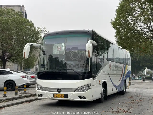 苏C 21265
