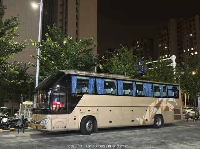 鲁P X1002