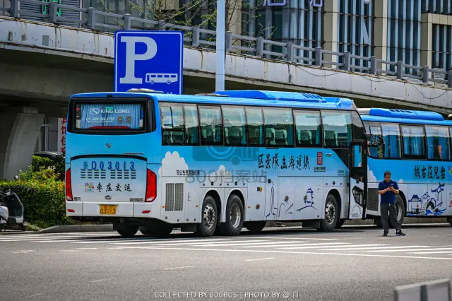 鲁D 03013