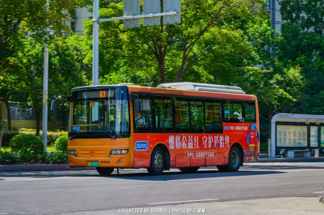 苏C 00810D