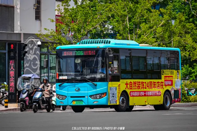 苏C 06989D